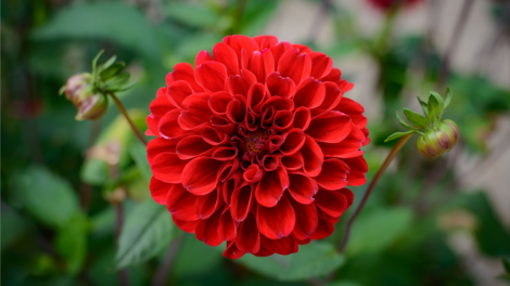 T'RUÍH PA XUL ZẤP T'NGAY 23/7/2019