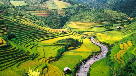 Liêm pr’hay Mù Cang Chải