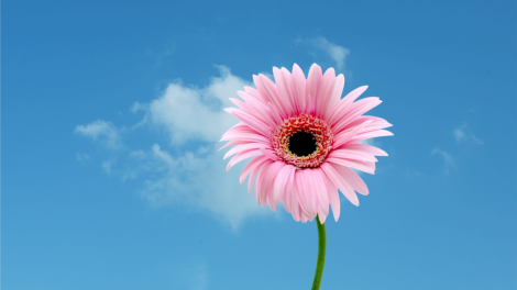 T'RUIH PA XUL T'NGAY 23/8/2019