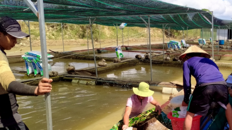 Băn a xiu coh rôh đhị k’ruung năc c’lâng bhrợ têng cha t’mêê đhị chr’hoong Krông Ana, Đăk Lăk