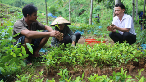 Chr’hoong Minh Long pa dưr tơm chè tợơ bấc đăh zên bạc