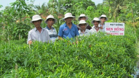 Tiên Giang: Chóh r’véh r’đoong liêm sạch, pr’đươi liêm t’mêê – c’lâng bh’rợ cắh choom cắh bhrợ âng đhanuôr bhrợ ha rêê đhuốch