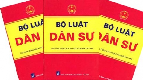 Đợ râu t’mêê liêm chr’nắp âng Bộ luật dân sự 2015
