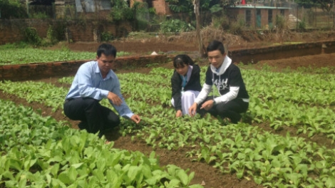 Gia Lai học sinh grơơ nhool lêy cha’mêết khoa học