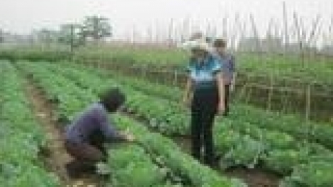 Nghị quyết lướt crêê đhr’năng lalua-nắc râu liêm choom âng Đại hội đảng bộ chr’val vel bhươl t’mêê Tuy Lộc