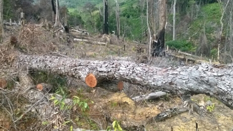 Tây Nguyên: Pa hư crâng dzợ vaih k’rơ