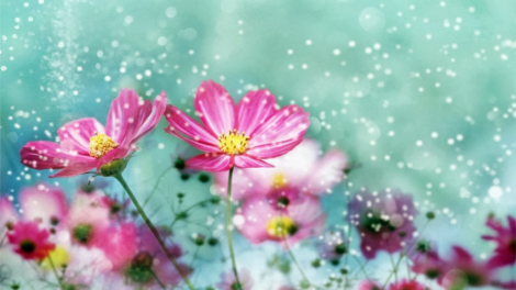 T'RUIH T'NGAY 31-1-2020