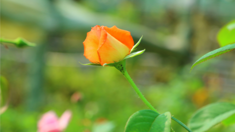 T'RUIH PA XUL T'NGAY 21/10/2020