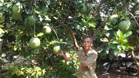 Muy cựu chiến binh chóh píh bhung n’căr t’viêng ting GAP dưr ca van