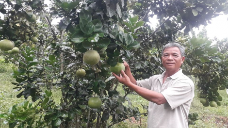 Đha nuôr Đà Nẵng bhrợ cha ca van tơơn tơơm pih bhung