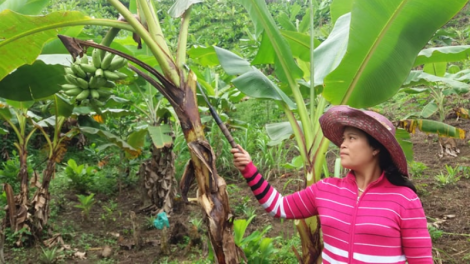 Pân đil Đông Giang: Tr’zúp tr’zooi đh’rứah pa dưr pr’ặt tr’mông, ta ha ul pa xiêr đha rựt
