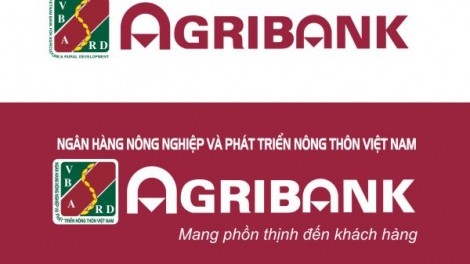 T’moóh t’coóh Ngô Văn Tân, Giám đốc Ngân hàng NN lâng pa dưr vel bhươl chr’hoong A Lưới, tỉnh Thừa Thiên Huế