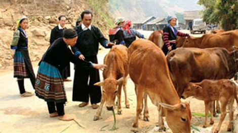 Xay bhrợ liêm crêê pazêng xa nay bh’rợ đoọng t’bil đharứt nhâm mâng