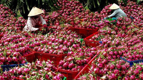 Đhanuôr bhrợ ha rêê đhuốch ting pâh ooy bh’rớ tr’nêng prang bha lang k’tiếc: k’đháp căh cậ u buôn