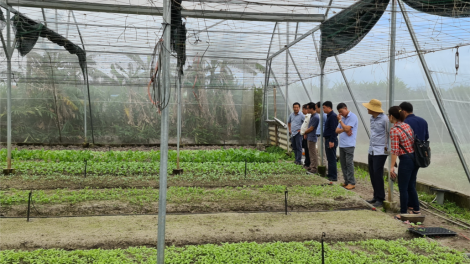 Xay bhrợ bh’rợ tr’nêng đệ t’ngay, têêm ngăn pr’ắt tr’mung đenh đươnh đoọng ha đhanuôr zr’lụ túh Quảng Bình