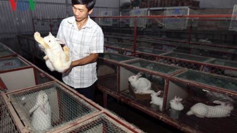 Phạm Anh Dũng-đha’đhâm bhrợ cha k’van tơợ c’roọl bh’năn lâng vêy bấc râu chrooi đoọng ha xã hội