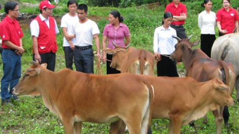 Đha nuôr z’lấh đha rựt đươi vêy “ Ngân hàng c’roóc”