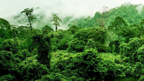Crâng Nam Tây Nguyên xoọc t’viêng