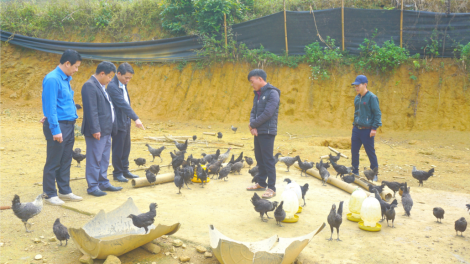 Lào Cai: Băn a tưch a ac vel đong – Vêy bơơn pa chô bâc âng đha nuôr da ding ca coong