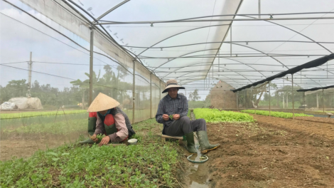 Quảng Trị chếêc lêy c’lâng bh’rợ bhrợ têng ha rêê đhuôch liêm choom cơnh lâng đhr’năng pleng k’tiếc căh liêm