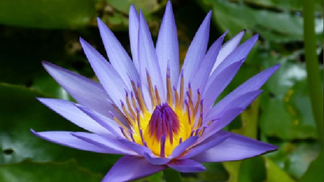 T'RUIH T'NGAY 1/12/2019