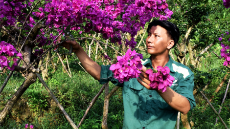 Bhươn pô giấy âng đha đhâm khuých goo