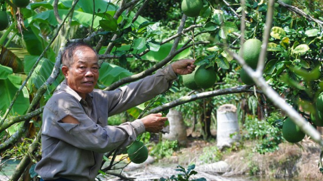 T’cooh Ba Liêm- Manuyh Đảng viên lâng bâc cơnh c’lâng bh’rợ t’mêê coh bh’rợ pa bhrợ