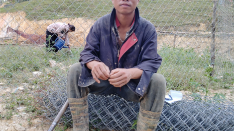 Trao đổi: “Kỹ thuật trồng cây ba kích tím”