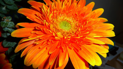 T’RUIH T’NGAY 2-8- 2020