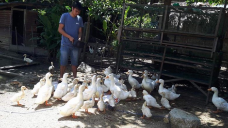 Trao đổi: “Thanh niên Cơ Tu phát triển mô hình chăn nuôi”