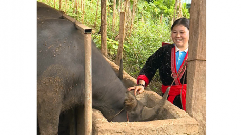 Ađoo pân đil đảng viên manuyh H’Mông bhrợ cha choom