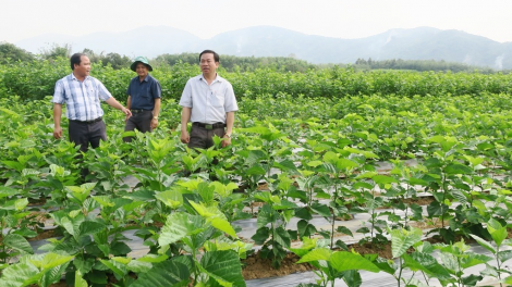 Đhanuôr bơơn bhrợ bấc zên tu chóh dâu băn tằm