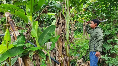 Đha đhâm Cơ Tu z’lâh đha rưt tơợ tơơm prí