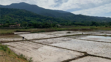 Da ding ca coong Thừa Thiên Huế: Pleng p’răng xớơt đhanuôr lưm zr’năh k’đhap coh pr’ặt tr’mông lâng bh’rợ tr’nêng