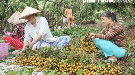 Bình Phước: Kiêng vêy chính sách p’too p’zương đắh bhrợ têng, pa câl p’lêê p’coo