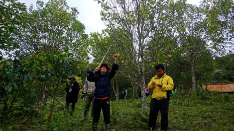 Đha đhâm Cơ Tu grơơ nhool k’rong bhrợ pa dưr bh’rợ du lịch p’têết pazưm lâng chóh píh cóh vel đông