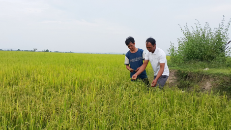 Râu liêm pr’hay tơợ bh’rợ “Mưy đảng viên zúp mưy pr’loọng đha’rứt” cóh chr’val k’coong ch’ngai Ia Piar