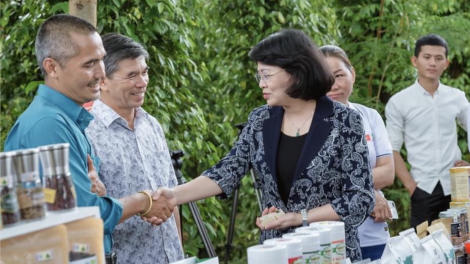 Gia Lai: Bh’nơơn OCOP pa dưr pr’đợơ liêm choom âng zr’lụ chr’hoong
