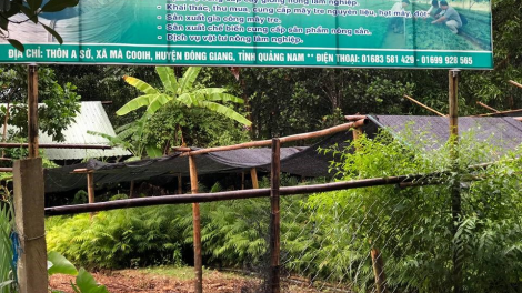 Đông Giang: Đươi dua khoa học công nghệ ooy bhrợ têng ha rêê đhuốch