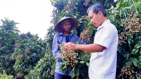 Z’lâh đha rựt đươi tợơ choh tơơm cha p’lêê