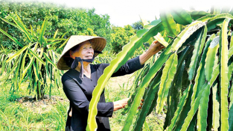 Liêm choom tơợ zên vặ cơnh lâng ma nứih đha rựt
