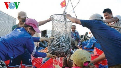 Chr’mệêt lêy bhiệc chroót pa chô râu bil bal tợơ râu cắh liêm âng môi trường đhị tỉnh Thừa Thiên-Huế
