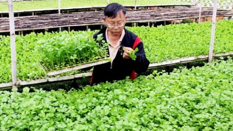 Bộ Y tế k’đươi moon tuần lễ Dinh dưỡng lâng padưr pa’xớc