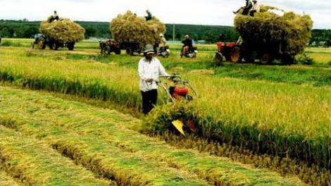 Thành phố Hồ Chí Minh bhrợ pr’đơợ đoọng ha đhanuôr cóh tỉnh lơơng tước bhrợ têng cha