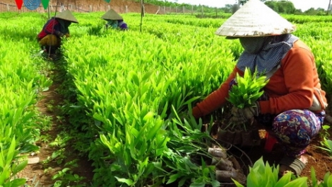 Pa dưr kinh tế tơợ crâng ting c’lâng xã hội xay bhrợ