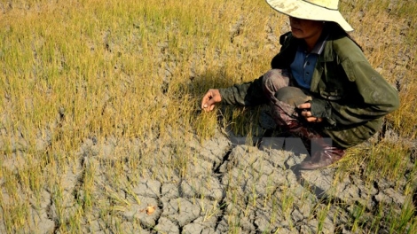 Da ding k’coong Quảng Nam: bấc đhăm ha roo ch’noọng c’lọt nắc zâng lâng ch’noọng xớơt, bha ruy pa hư