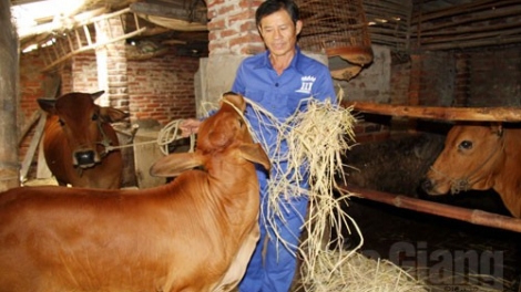 Tp.Hồ Chí Minh lấh 6 tỷ đồng tơợ Ngân hàng k’roóc zooi zúp manứih đha’rứt