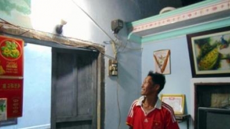 Nắc ơy p’têết lưới điện quốc gia lâng đảo Cù Lao Chàm