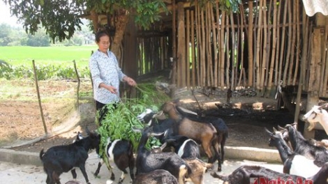 Nghệ An vêy lấh 125 r’bhầu pr’loọng đong bhrợ têng kinh doanh choom