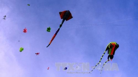 Pr’lứch Liên hoan Diều quốc tế g’lúh VII c’moo 2016